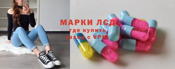 стафф Осинники