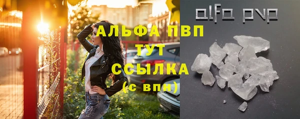 крисы Осташков